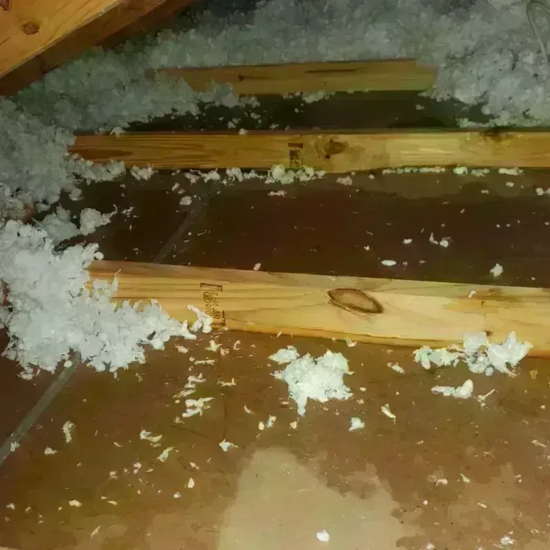 Attic Water Damage in Ocean City, FL