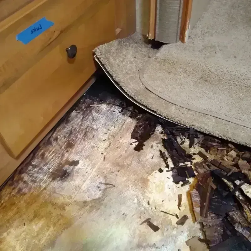 Wood Floor Water Damage in Ocean City, FL